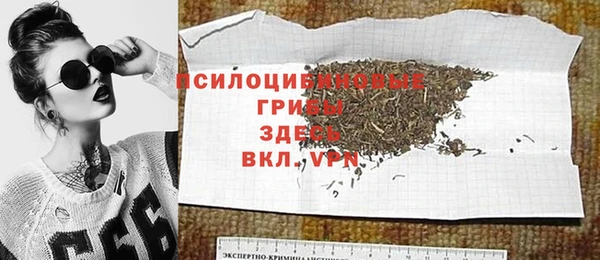 стаф Арсеньев