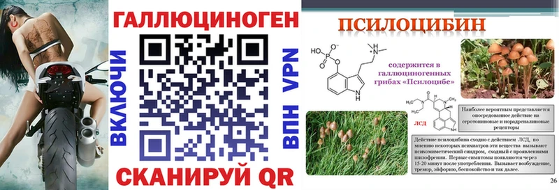 Псилоцибиновые грибы мицелий  продажа наркотиков  Лесосибирск 
