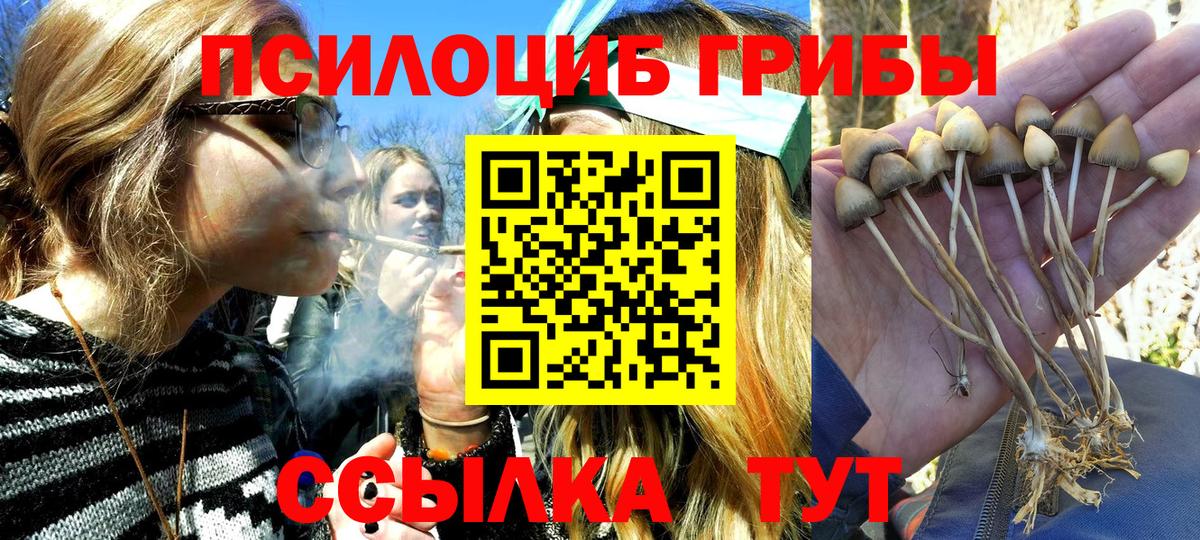 Галлюциногенные грибы MAGIC MUSHROOMS  Псилоцибиновые грибы прущие грибы  Лесосибирск  Вход с VPN 